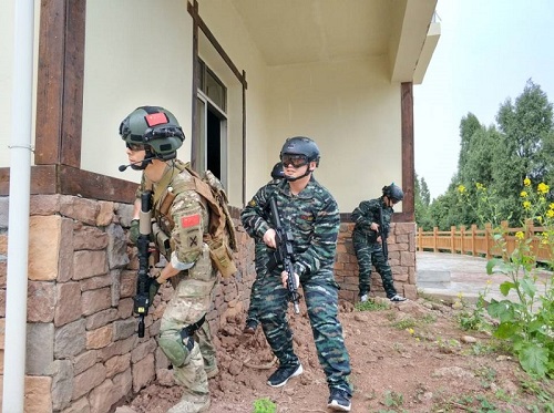 法医学系开展2019年党员骨干先锋素质提升训练活动