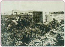 历史沿革