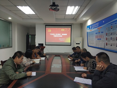 我系教工支部召开“不忘初心，牢记使命”主题教育“检视查摆”专题民主生活会